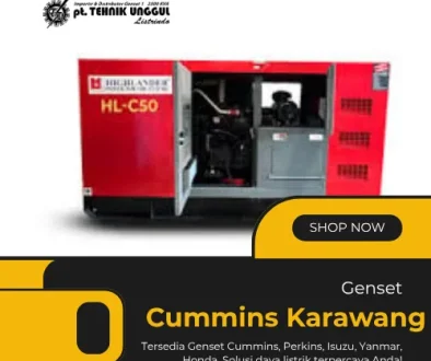 Genset Cummins Karawang