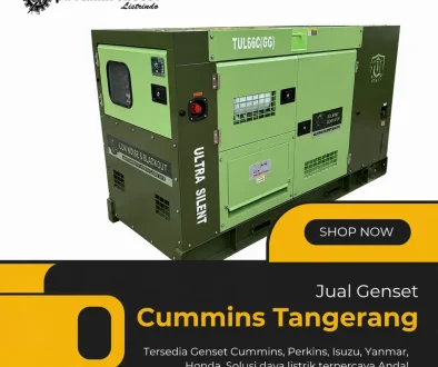 Jual Genset Cummins Tangerang