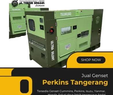 Jual Genset Perkins Tangerang